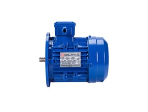 防爆電機(jī)都有哪些防爆系統(tǒng)？